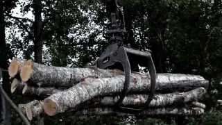 496 Backhoe carrying birch logs to the truck