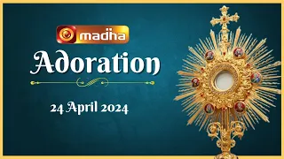 🔴 LIVE 24 April 2024  Adoration 11:00 AM | Madha TV
