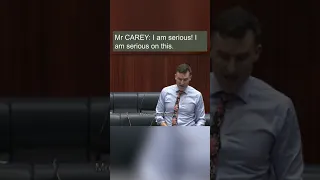 WA Legislative Assembly #Shorts - "I am serious!"