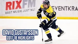 David Gustafsson | 2017-18 Highlights