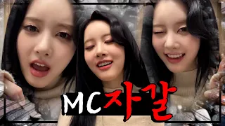 [스테이씨] MC 자갈?! 시은이가 소원 들어주는 라이브🌠 | 스테이씨 위버스 라이브 요약본