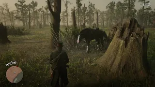 This boar scared the fuck out of me