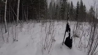 Проверка путиков с ящичными ловушками и с кп-120.Охота на куницу. (Будни охотника и рыбака)