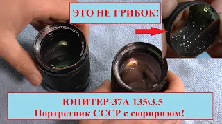 ЭТО НЕ ГРИБОК! ЮПИТЕР-37А 135 3.5  - ШИКАРНЫЙ ПОРТРЕТНИК СССР! ПОЛНЫЙ РАЗБОР.