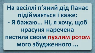 💠 Кумедіянтний Дід Панас на Весіллі! Українські Анекдоти! Анекдоти Українською! Епізод #253