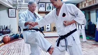 Karate Kick with Heels! Morio Higaonna