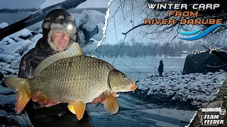 Gábor Döme - Carp fishing on the Danube in January