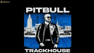 Pitbull, Nile Rodgers - Freak 54 ( #trackhouse  , #pitbulltrackhouse , #pitbull , #albumtrackhose )