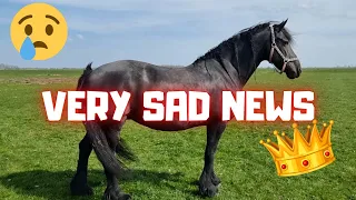 Very sad news😪 Queen👑Uniek has lost another foal | Friesian Horses