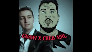 Gnawi X Cheb Akil hommage (Remix)