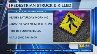 Pedestrian struck and killed on Hwy 58