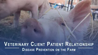 Disease Prevention on the Farm: Veterinary Client Patient Relationship