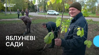 Новодмитрівські сади перемоги