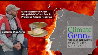 Massive Marine Ecosystem Crash Along Galicia’s Coast Due To Prolonged Atlantic Heatwave #climate