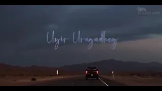 Uyir Urugudhey ( 1 hour loop ) Cobra ( Enhanced Reverb )