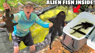 ALIEN FISH FOUND LIVING in GREEN SLIME POND!