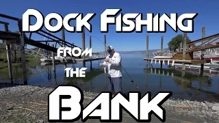 Bank Fishing: How to Catch Every Bass Under a Dock