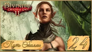 Divinity: Original Sin II ★ 24: Башня Бракка.