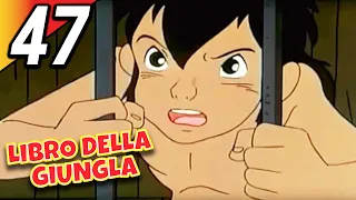 LIBRO DELLA GIUNGLA | Episodio 47 | Italiano | The Jungle Book