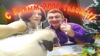 С Новым 2017 Годом Красного Огненного Петуха ! ! !