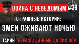 Война с неведомым #39 «Страшные истории: Змеи оживают ночью»