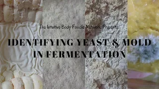 Identifying Yeast & Mold in Fermentation