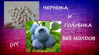 Черника и Голубика без молдов/Чем отличаются ягоды/Blueberries DIY modeling