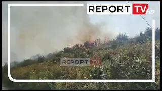 Report TV -Zjarr në Kërkovë të Vlorës, flakët favorizohen nga era! U rrezikuan dy banesa