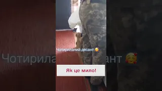 😍 Таке кумедне! Кошенятко не може жити без військового!