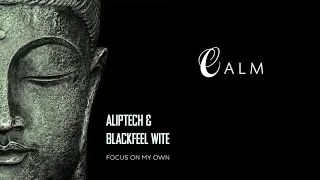 Aliptech & Blackfeel Wite   Focus on my own