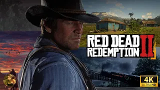 Red Dead Redemption 2 ➤ PC 4K ➤ Легенды Дикого Запада ➤ Полное Прохождение ➤Глава-6: Артур/ФИНАЛ #21