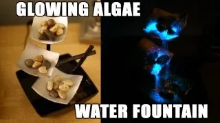 Glowing Algae Water Fountain