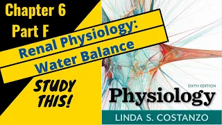 Costanzo Physiology (Chapter 6F) Renal Physiology: Water Balance || Study This!