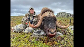 Outdoor Quest Ep#2 2023 Muskox and Lake Trout in NWT Part 2