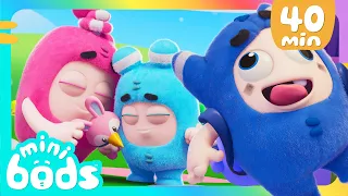 ¡Eclosión!  |🌈 Caricaturas para niños🌈 | Minibods en Español