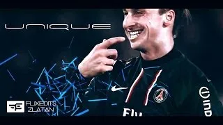 Zlatan Ibrahimovic | PSG 2012-2013 | Unique | HD