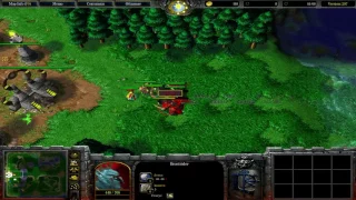 WarCraft3 Survival Chaos Blood ElF