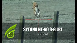 Sytong HT-60LRF 3x-8x on Hare