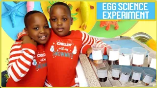 Eggs in different Liquids science experiments!!! | Tooth Decay Experiment with Eggs and Drinks