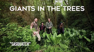 Giants in the Trees - Sasquatch (Official Video)