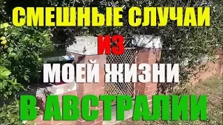 Смешные случаи из моей жизни в Сиднее [1Australia]#1724