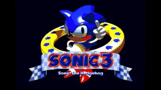 Sonic The Hedgehog 3 (Nov 3 1993 Beta) - Angel Island Act 2