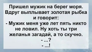 Мужик и Золотая Рыбка! Анекдот дня Для Отличного Настроения! Веселые Анекдоты!