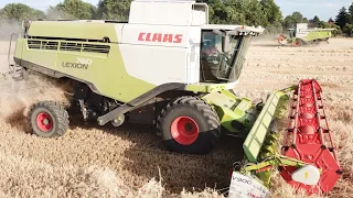 NEW Claas Lexion760 MONTANA und Claas Lexion 670 - Gerste dreschen