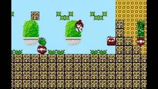 [NES Unlicensed] Angry Bird 4 (The NewZealand Story hack)