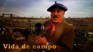 219 Vive solo en medio del campo (San Luis) - Estancias y Tradiciones