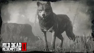 ATACADO PELO LOBO LENDÁRIO - Red Dead Redemption 2 - O Domador de Cavalos