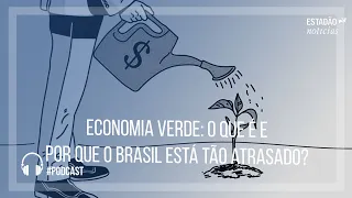 Economia verde: o que é e por que o Brasil está tão atrasado?