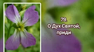 Гимны надежды 79 О Дух Святой, приди (-)