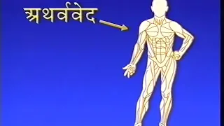 40 aspect of Veda and Vedic Literature in the human physiology वेदस्य ४० पक्षाः 40 аспектов Веды